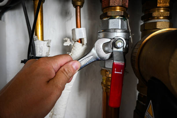Best Emergency Plumber  in Pleasanton, CA